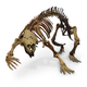 Mounted cast skeleton of A. hui.